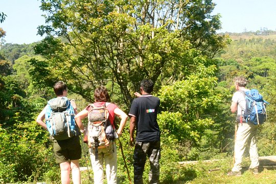 Tour image 2