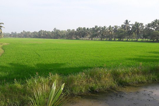 Tour image 5