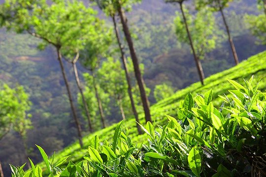Tour image 1