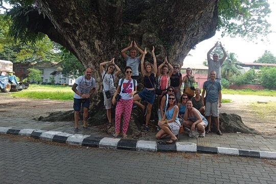Tour image 6