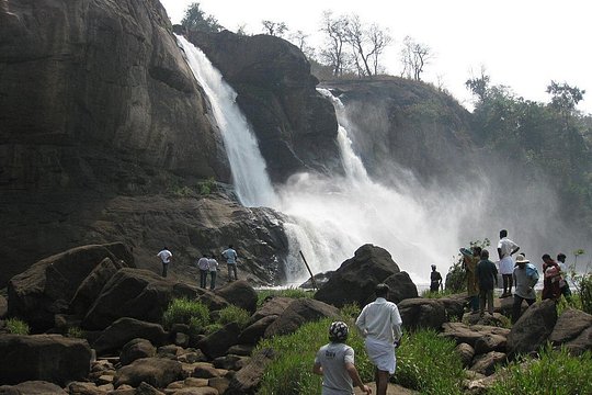 Tour image 8